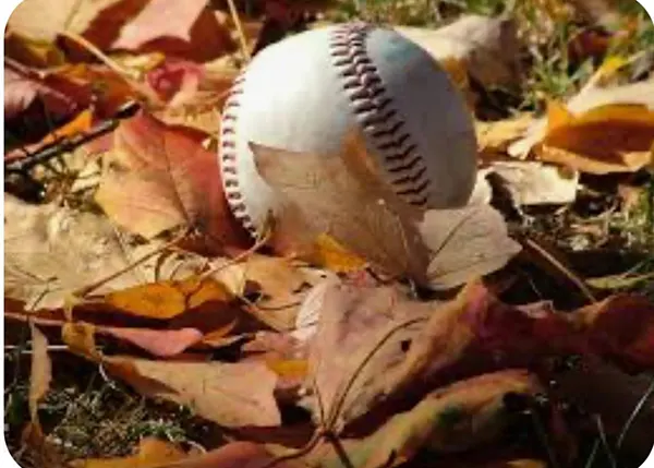 mml fall baseball mml fall baseball